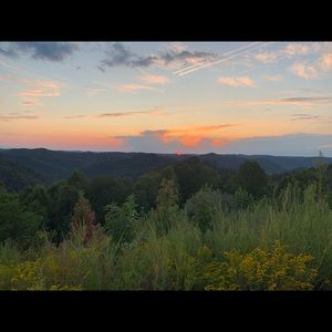 Meet your Posher, Bailey